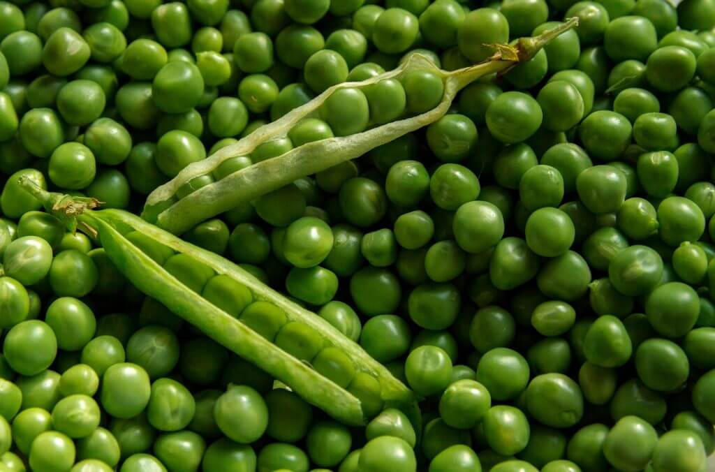green-pea-a-combination-of-taste-beauty-health tips