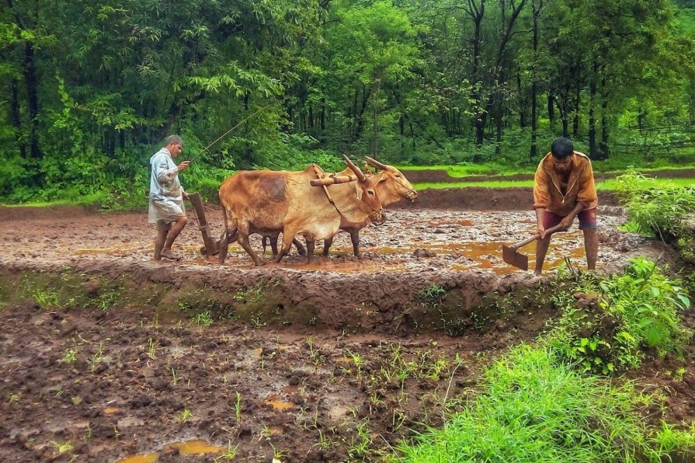 बजट 2019 में किसानों को मिला बाबाजी का ठुल्लू