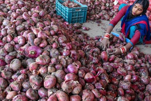ऑडी खरीदने पंहुचा प्याज बेचने वाला किसान, बोला पूरा शोरूम दिखाओ