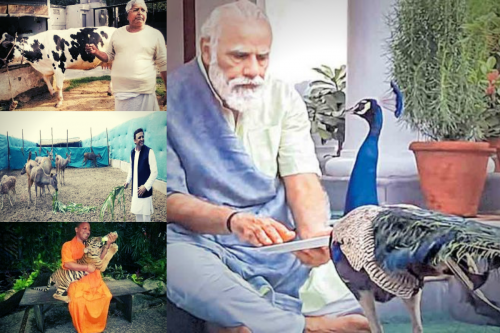 अँधभक्ति के साथ साथ अंधविरोध को भी कहना पड़ेगा नो 'मोर'