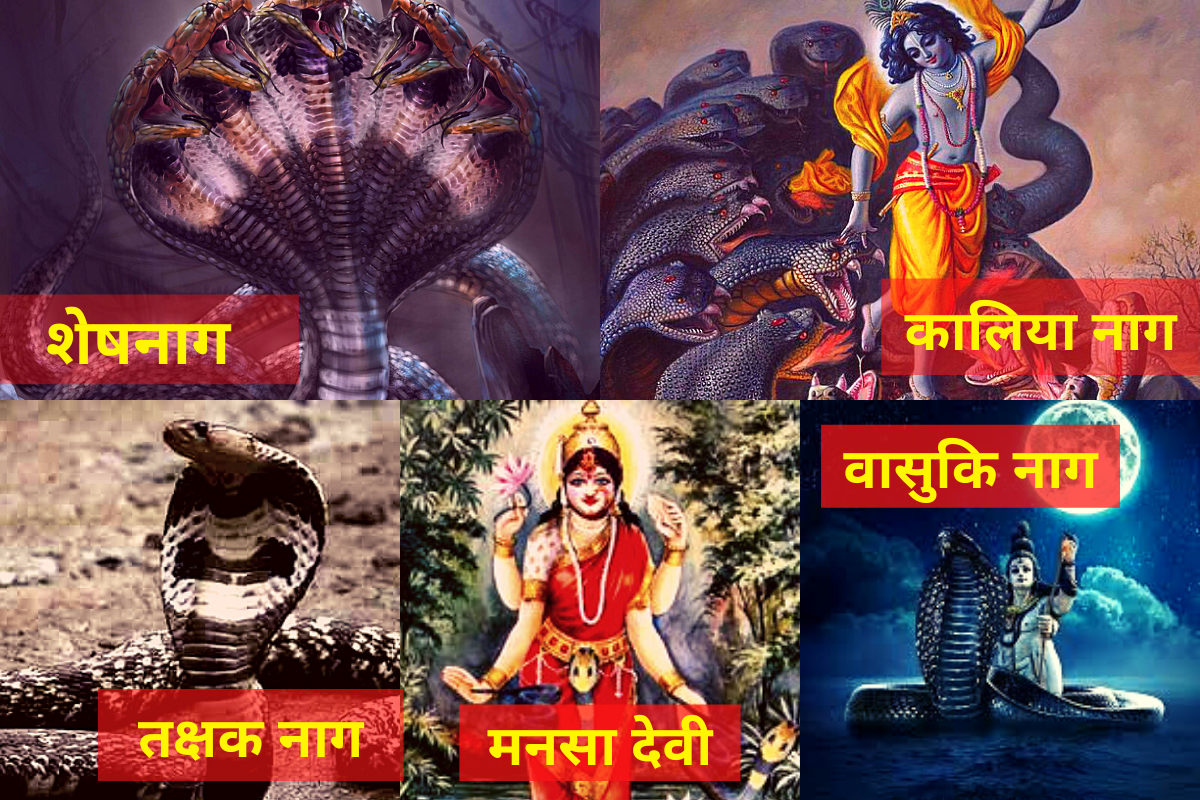 हिन्दुधर्म के अनुसार दुनिया के सबसे शक्तिशाली नाग कौन-कौन से है