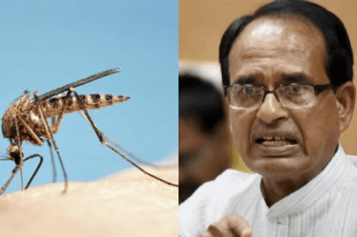 शिवराज सिंह को काटने के बाद लगातार भाषण दे रहा सीधी का मच्छर