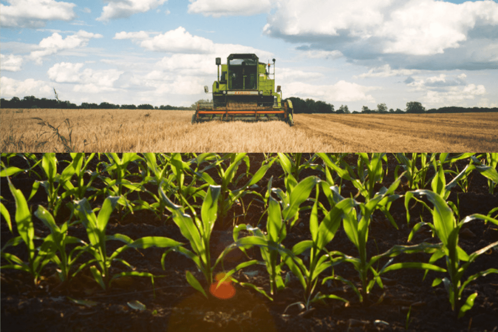 Indian Agriculture Sector In Trade And Sub-Sectors